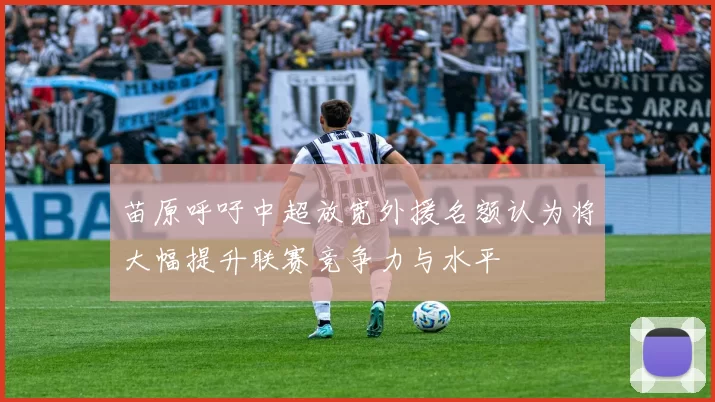 苗原呼吁中超放宽外援名额认为将大幅提升联赛竞争力与水平