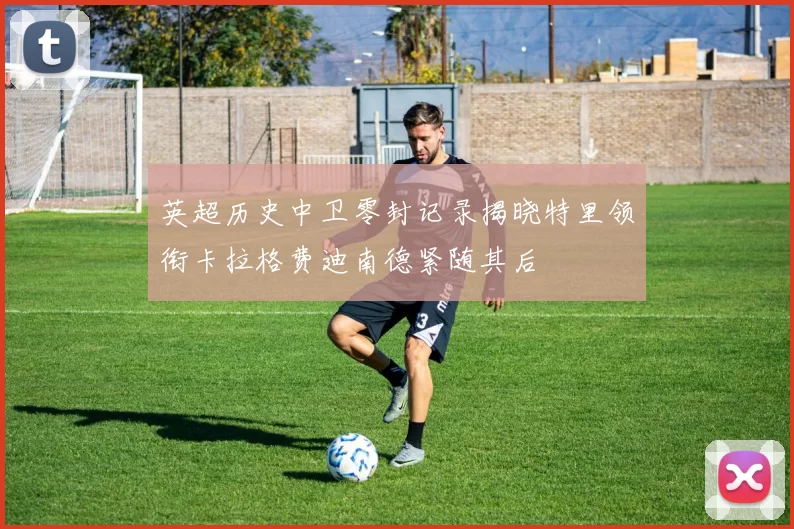 英超历史中卫零封记录揭晓特里领衔卡拉格费迪南德紧随其后